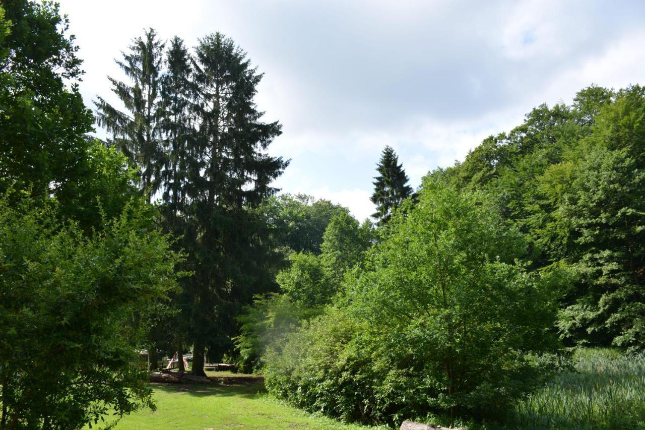 Bungalows Am Waldessaum Bei Hohenzieritz מראה חיצוני תמונה