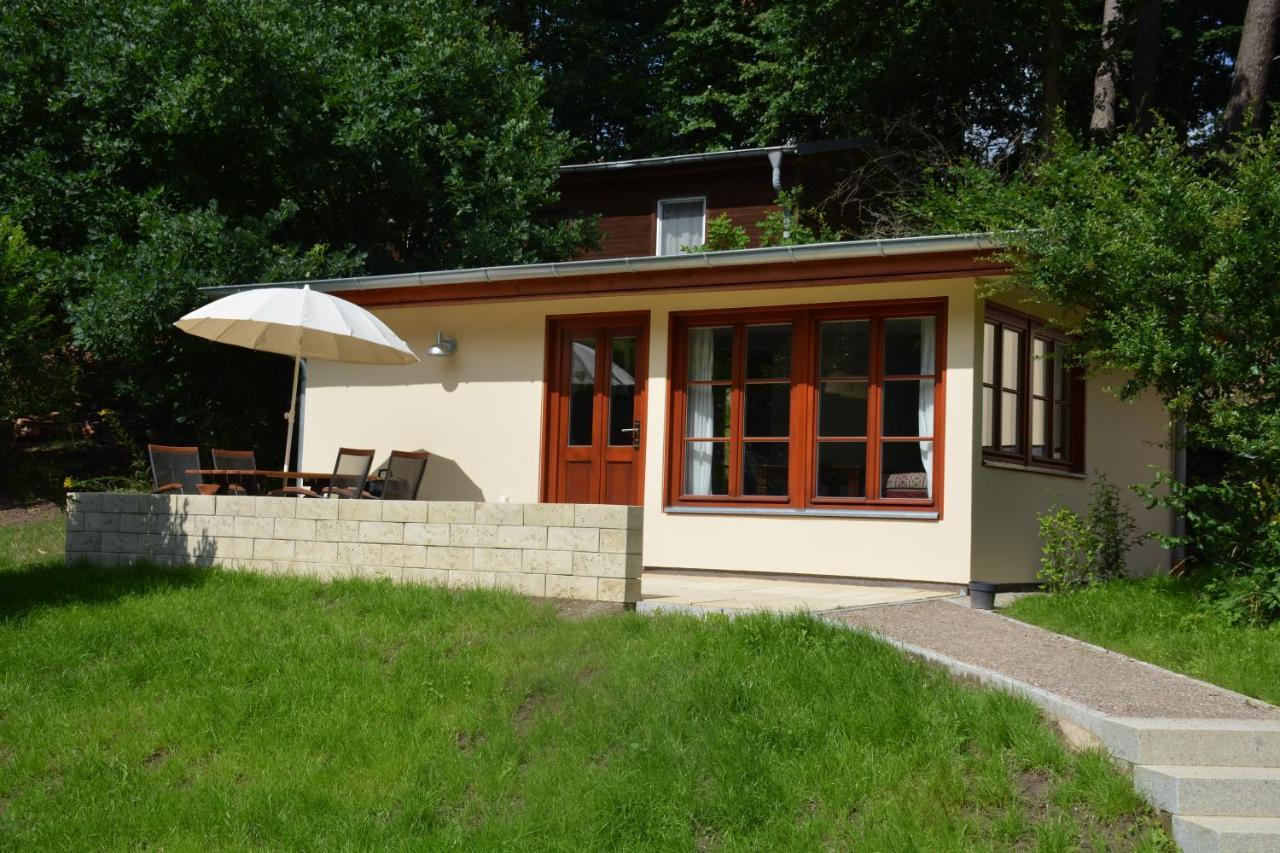 Bungalows Am Waldessaum Bei Hohenzieritz מראה חיצוני תמונה