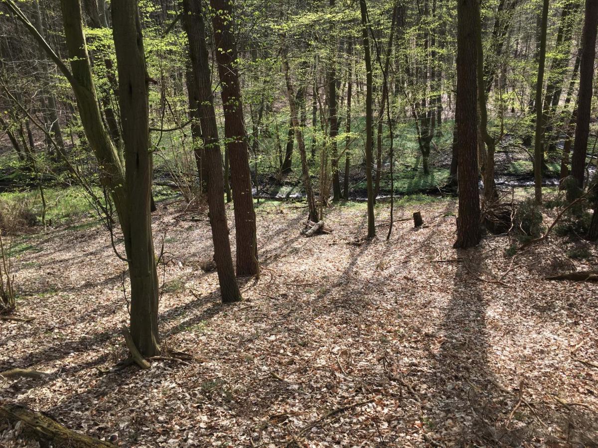 Bungalows Am Waldessaum Bei Hohenzieritz מראה חיצוני תמונה