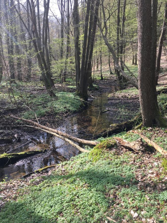 Bungalows Am Waldessaum Bei Hohenzieritz מראה חיצוני תמונה