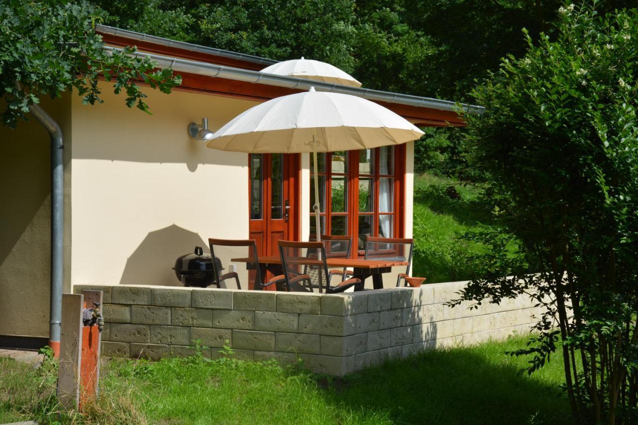 Bungalows Am Waldessaum Bei Hohenzieritz מראה חיצוני תמונה